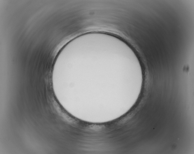 X0000111171513200908121035