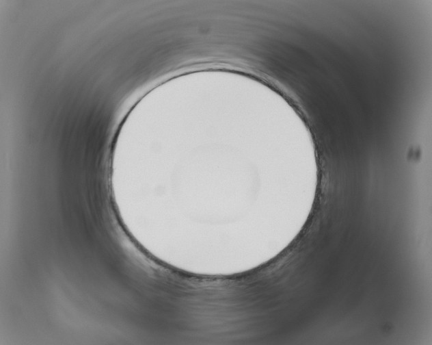 X0000111171516200908121035