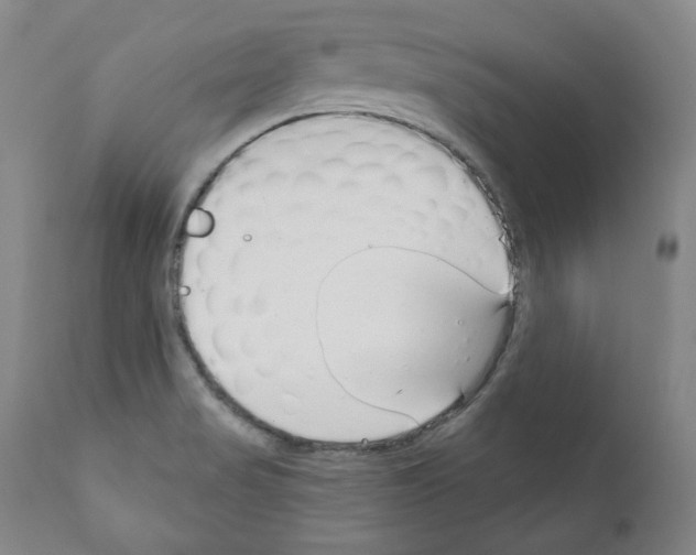 X0000111171517200908121035