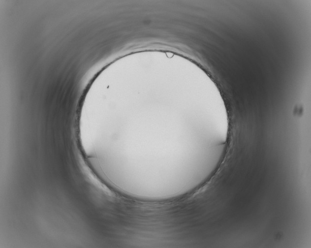 X0000111171518200908121035