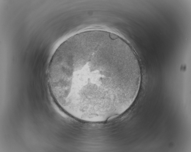 X0000111171519200908121035