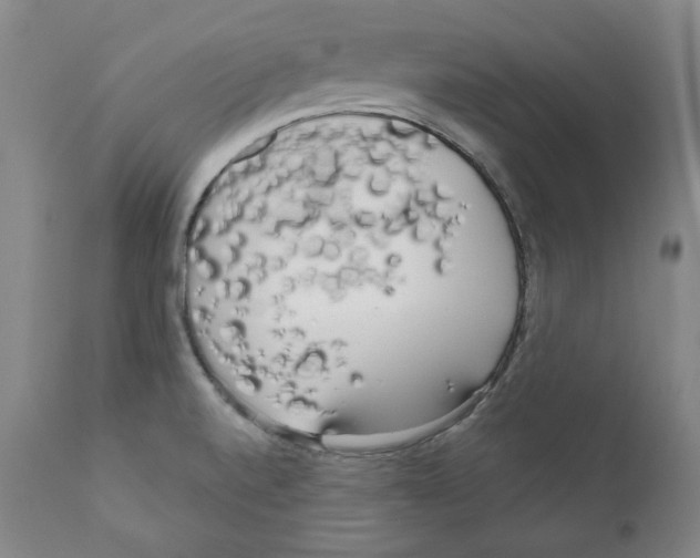 X0000111171520200908121035