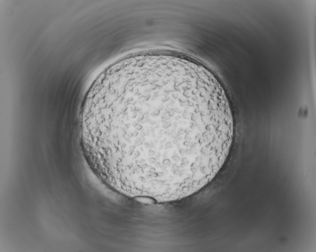 X0000111171524200908121035