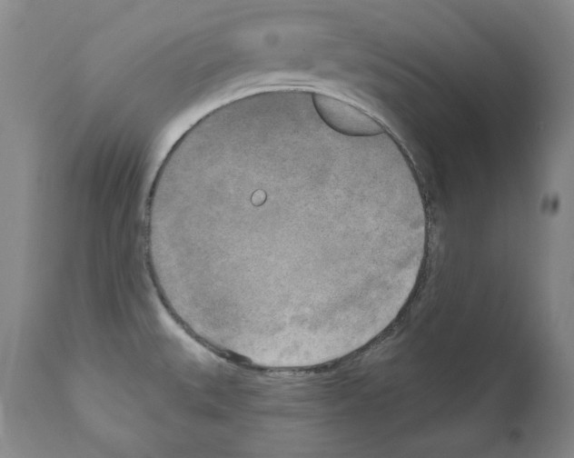 X0000111171527200908121035