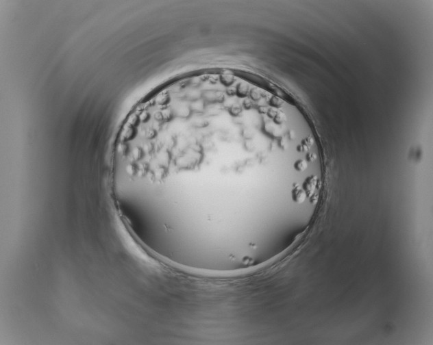 X0000111171528200908121035