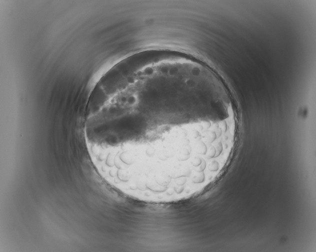 X0000111171529200908121035