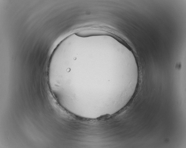 X0000111171530200908121035