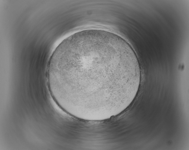 X0000111171531200908121035