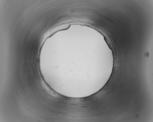 X0000111171532200908121035