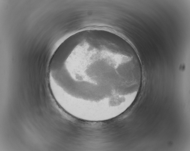 X0000111171533200908121035