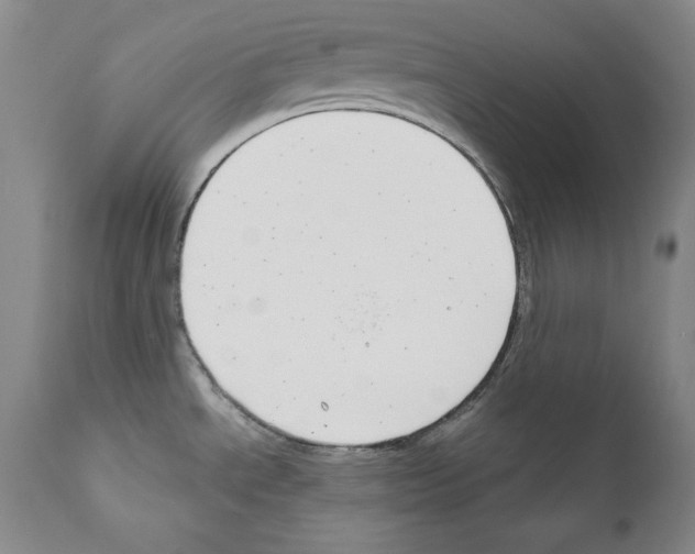 X0000111171534200908121035