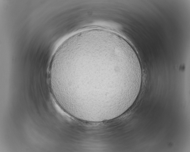 X0000111171535200908121035