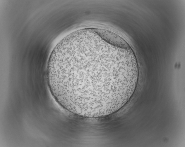 X0000111171536200908121035