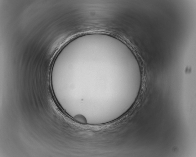 X0000111180002200907011043