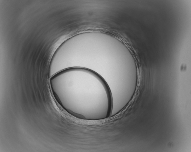 X0000111180003200907011043