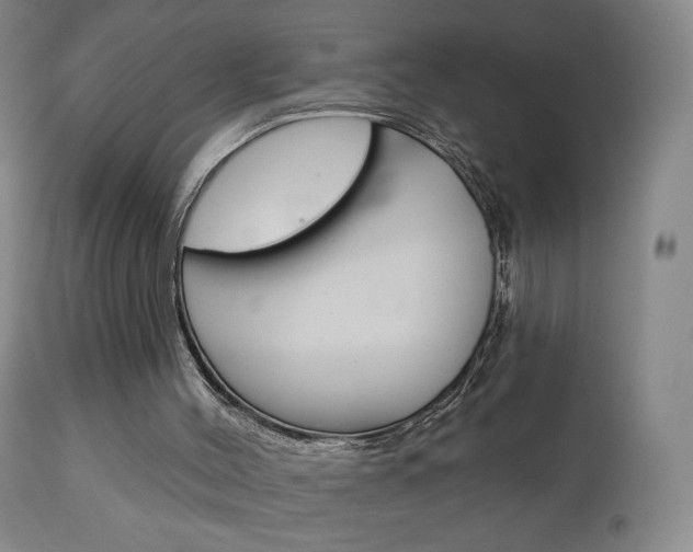 X0000111180004200907011043