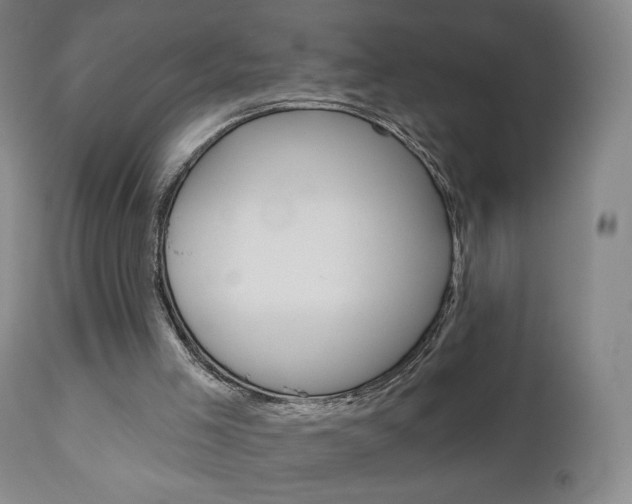 X0000111180005200907011043