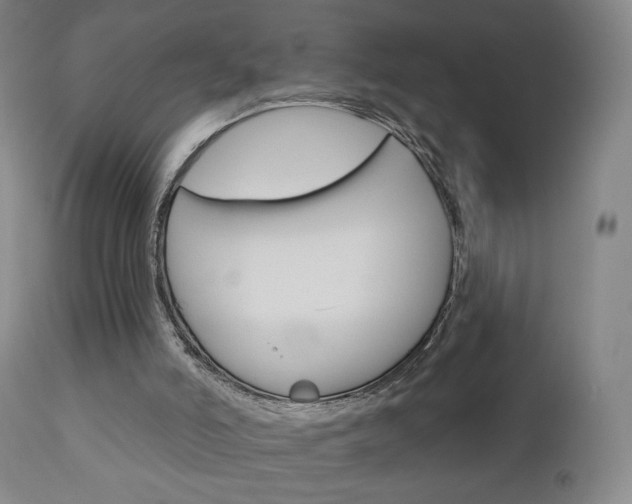X0000111180006200907011043