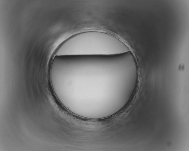 X0000111180008200907011043