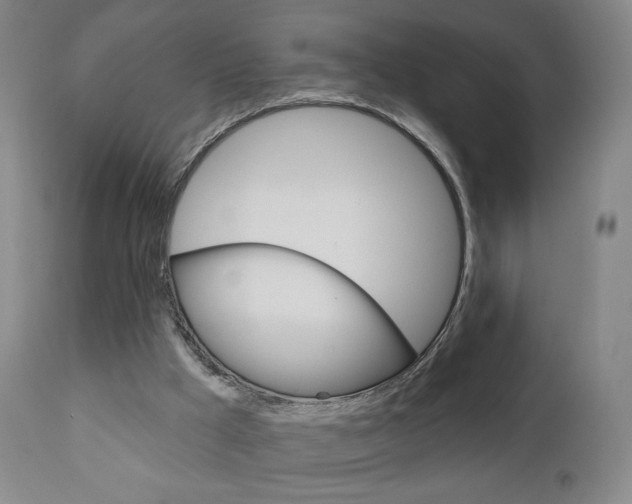 X0000111180009200907011043