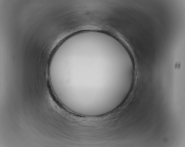 X0000111180011200907011042
