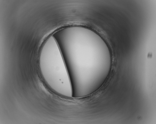 X0000111180012200907011042