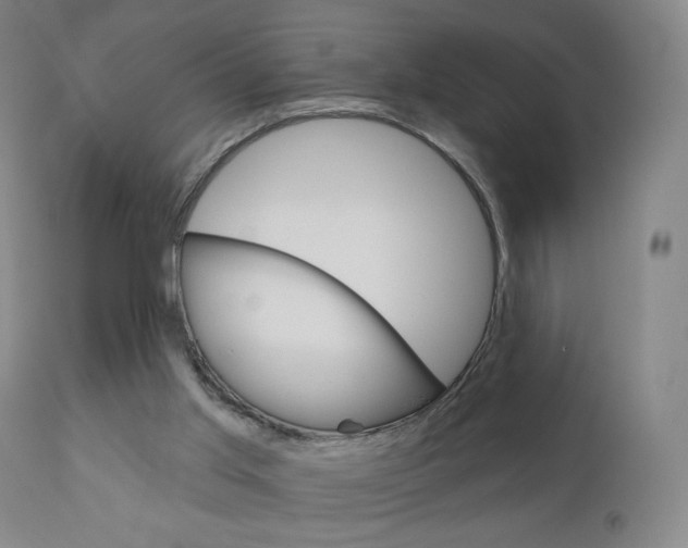 X0000111180013200907011042