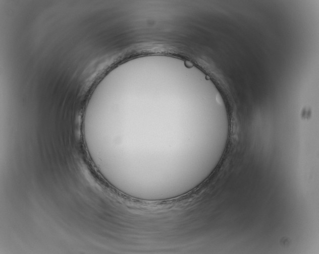 X0000111180014200907011042