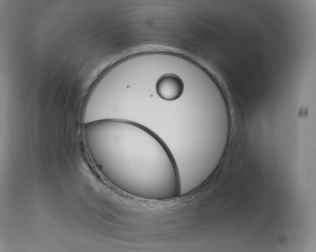 X0000111180015200907011042