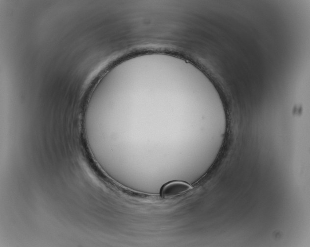 X0000111180016200907011042