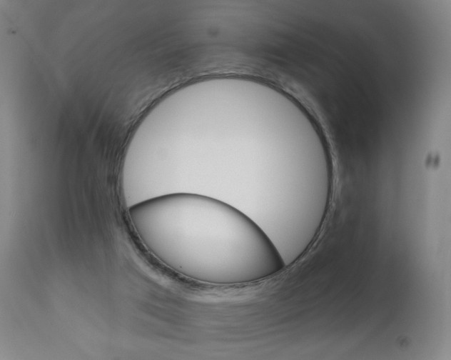 X0000111180017200907011042
