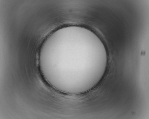 X0000111180020200907011042