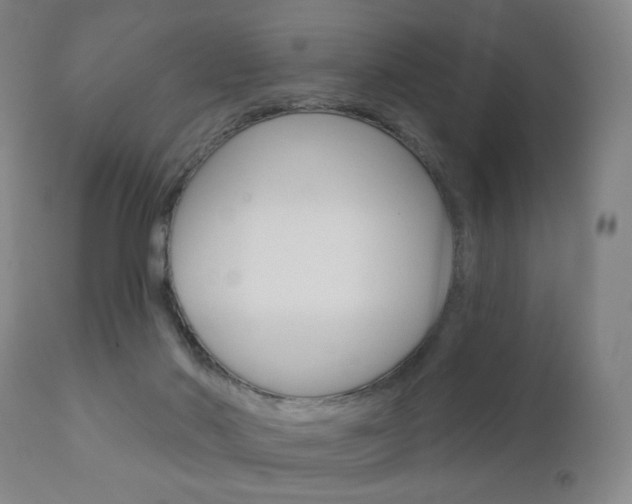 X0000111180022200907011042