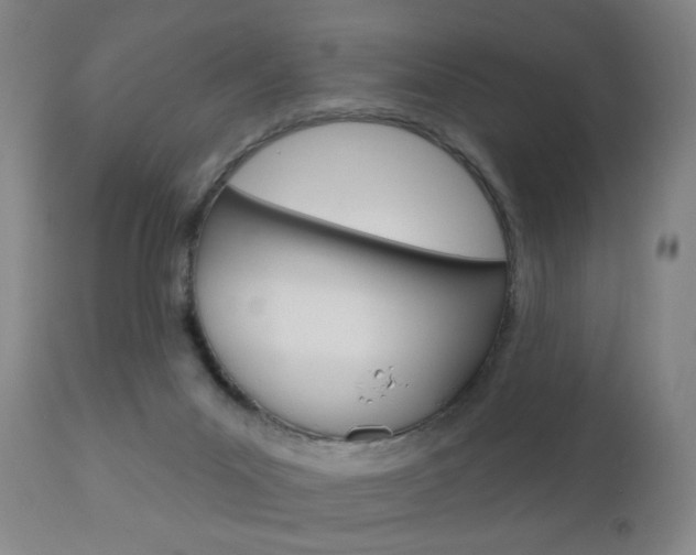X0000111180023200907011042