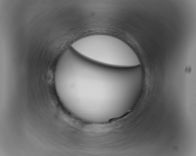 X0000111180025200907011042