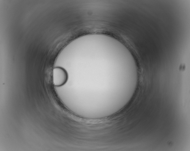 X0000111180026200907011042