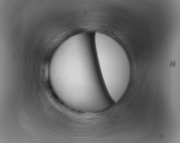X0000111180028200907011042