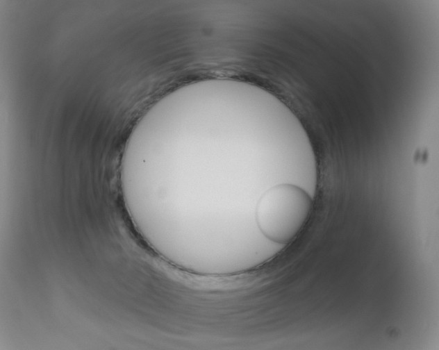 X0000111180030200907011042