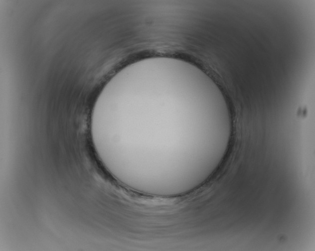 X0000111180032200907011042