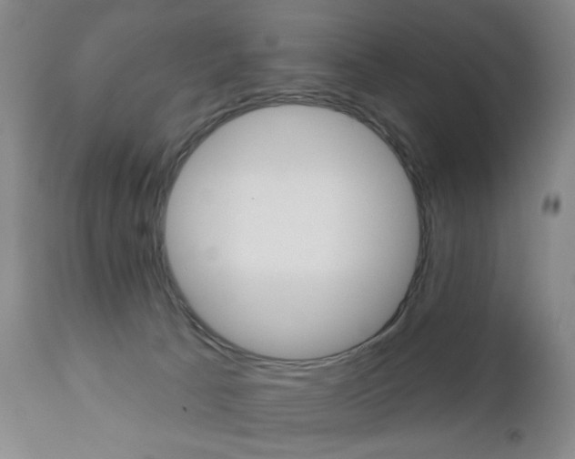X0000111180033200907011042