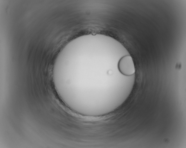 X0000111180034200907011042