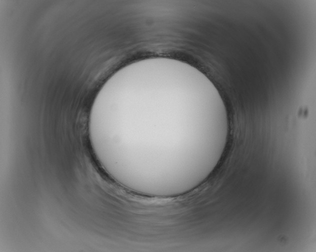 X0000111180036200907011042