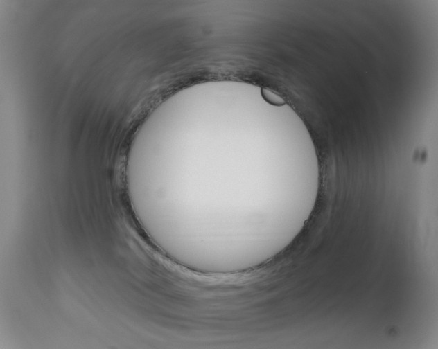 X0000111180038200907011042