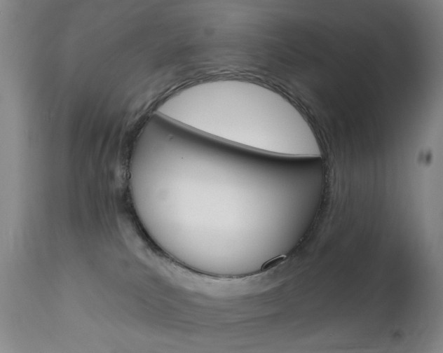 X0000111180039200907011042