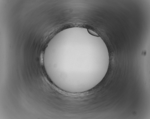 X0000111180042200907011042