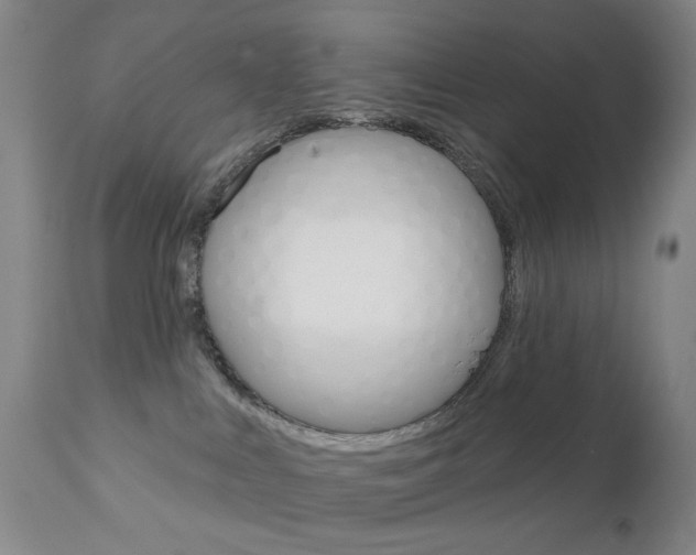 X0000111180043200907011042