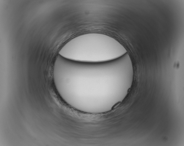 X0000111180044200907011042