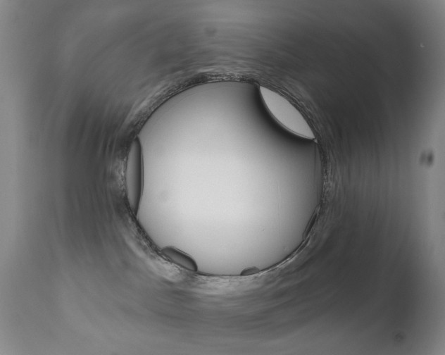 X0000111180045200907011042