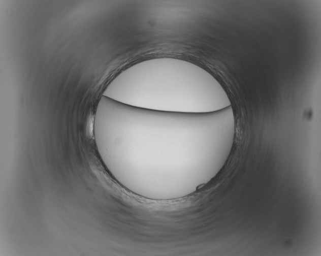 X0000111180046200907011042
