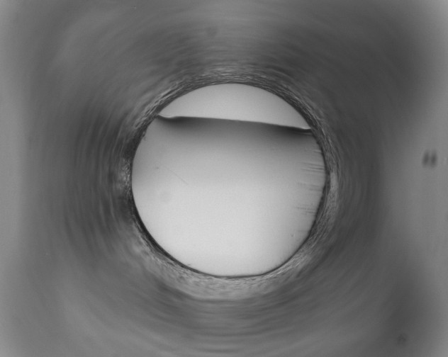 X0000111180048200907011042